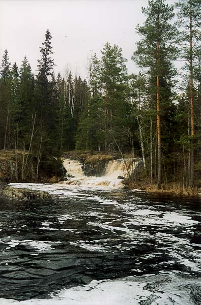 Вид на правый рукав Рускеальского водопада снизу по течению. Фото К.Волкова