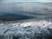 Белое море