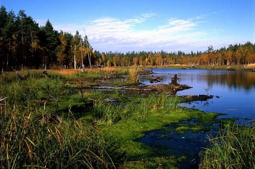 Национальный парк "Водлозерский"